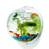 JAA-178 Transparent Mini Fish Aquarium,,Lucite Acrylic Fish Bowl,Wall-mounted Acrylic Fish Tank With Stones and Grass