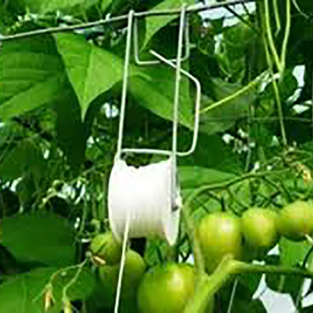 Skyplant Tomato Trellis-trellising Kit Pro With 15m Pp Twine Tomato ...