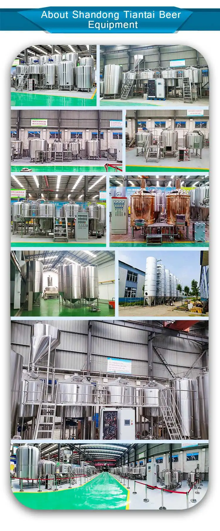 5HL 6HL 10HL Beer making equipment for bright beer tank