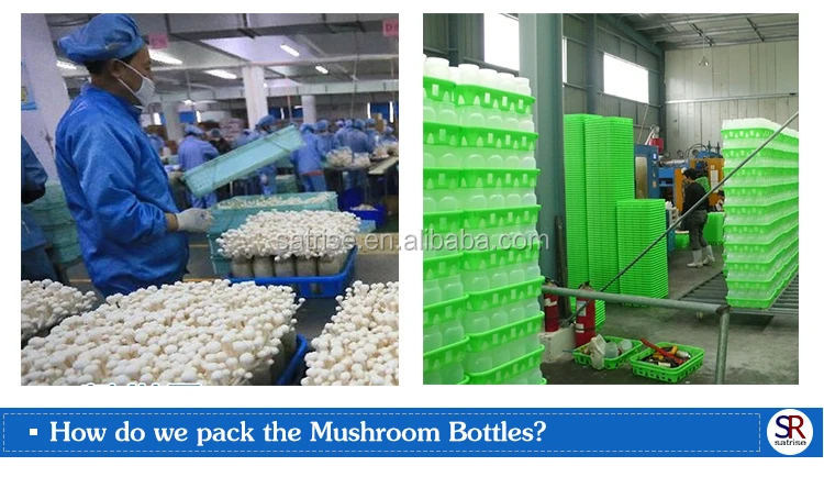 16cm Height fungus growing polypropylene mushroom plastic bottle for sale
