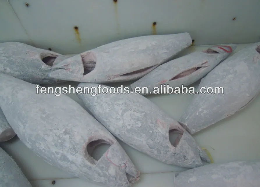 sashimi grade 5frozen bigeye tuna seafood.jpg