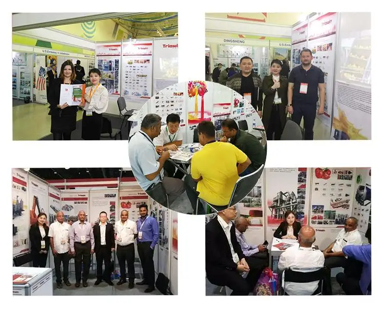 onion paste processing machine