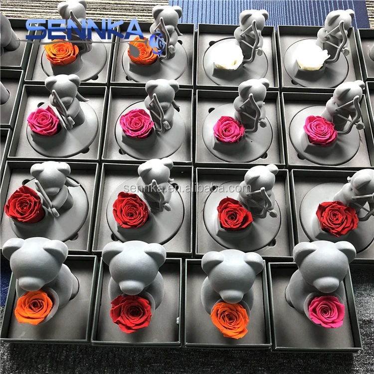 preserved rose 0816 (63)