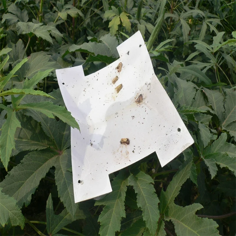 Insect Pheromone Lure For Helicoverpa Armigera&insect Pheromone For