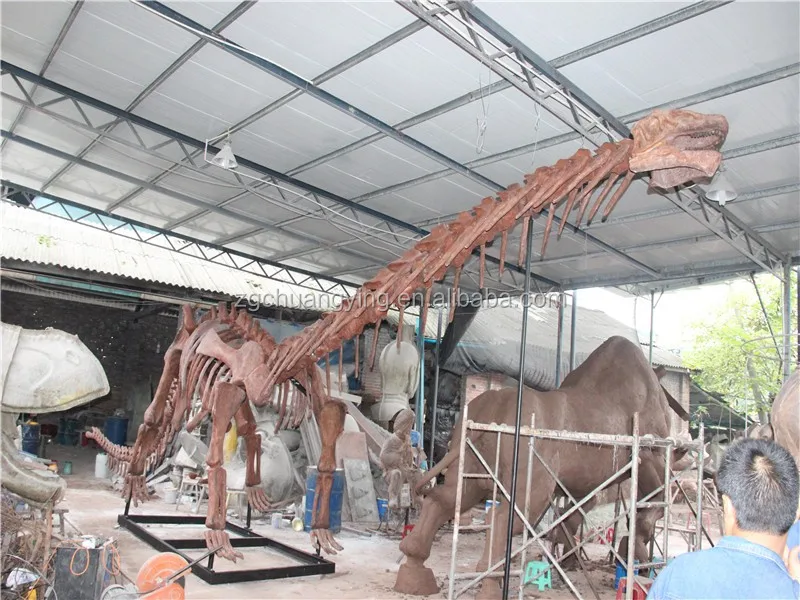 brachiosaurus skeleton museum