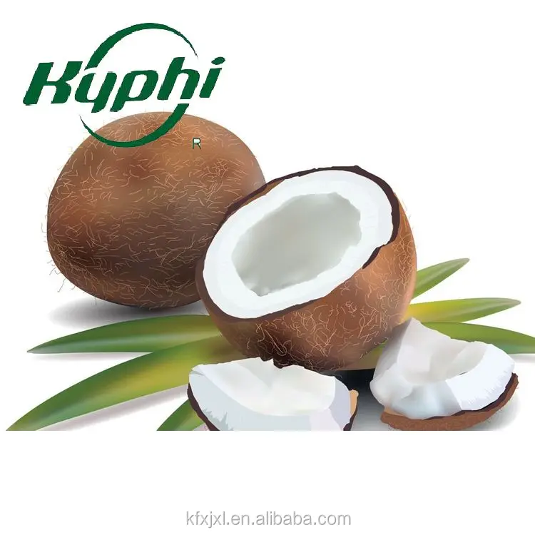 Reliable Quality For Gum Coconut Flavor Artificial Liquid Buy Coconut