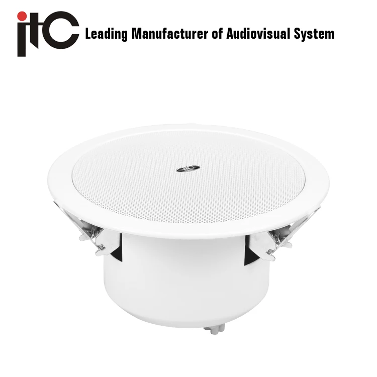 outdoor ceiling mount speakers