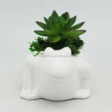 China Ceramic Frog Planter Whole Alibaba