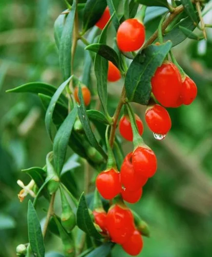 GI]$M8Z)]1UAXLB`U{L3J31