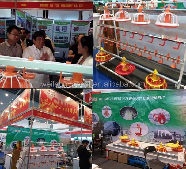 Philippine Livestock Expo