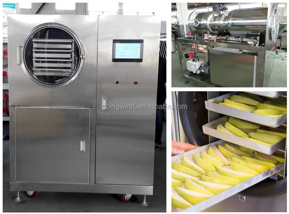 Automatic Dried Jackfruit Chips Making Machine Auto Dehydrated Jack