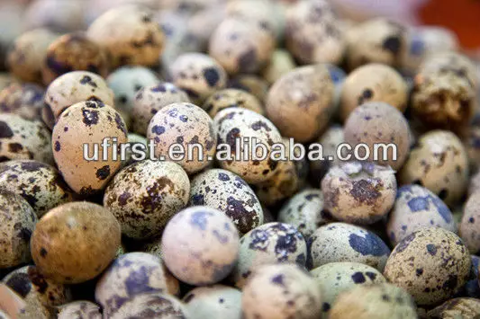 stainless steel quail egg peeling machine