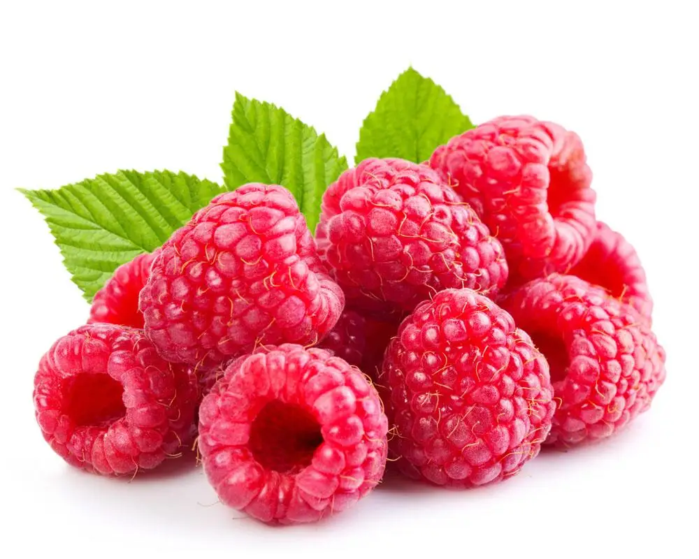 raspberry extract/raspberry fruit powder/raspberry juice powder