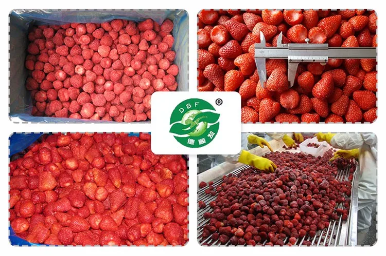Frozen-Strawberry.jpg