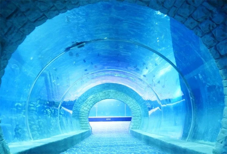 Customized Acrylic Aquarium Tunnel On Sale For Acrylic Aquarium Tunnel