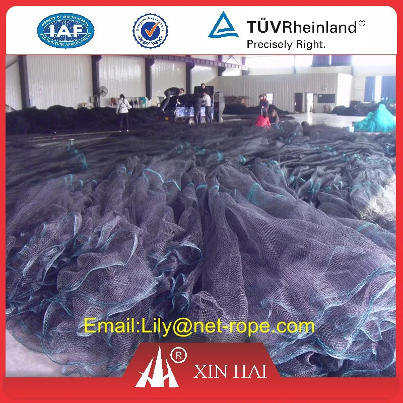 black anti bird netting 3_.jpg