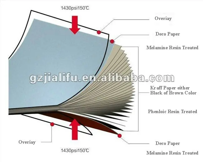 structure.jpg