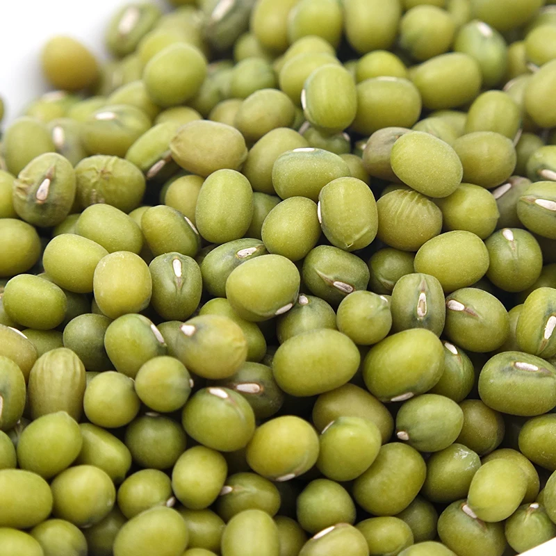 Wholesale Chinese Export Dry Green Mung Beans