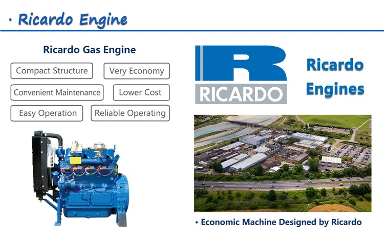 6.5.2 Ricardo Gas Engine