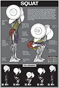 Squat Workout Laminated Poster