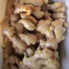 Good quality unspoiled chinese fresh ginger air dried ginger