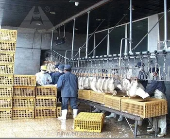 Turnkey Halal Chicken Slaughter Equipment With Capacity Of 1000 Birds ...