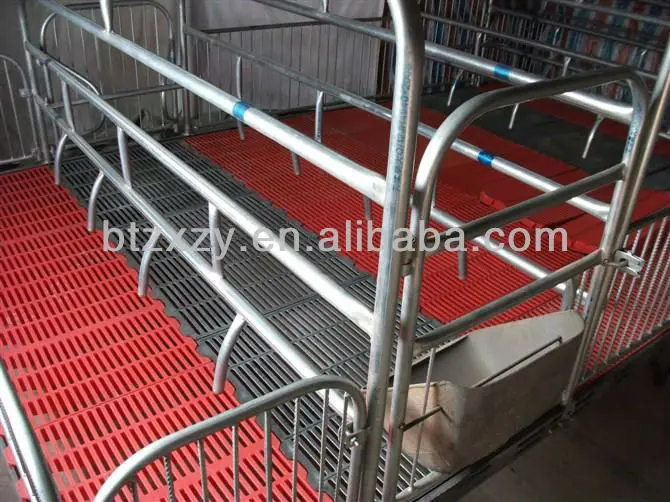 Suelo De Listón De Cerdo De Hierro Fundido En Granja De Cría De Cerdos