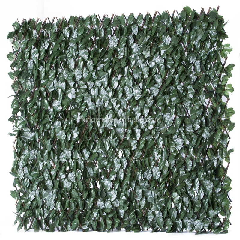 lattice privacy fence ivy