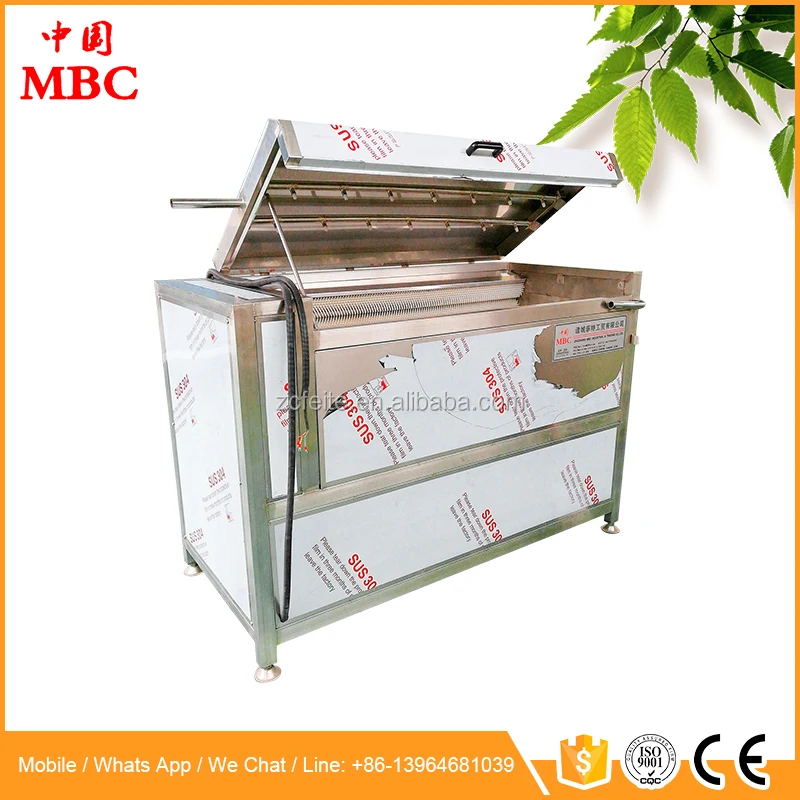 sparying brsh washer.jpg