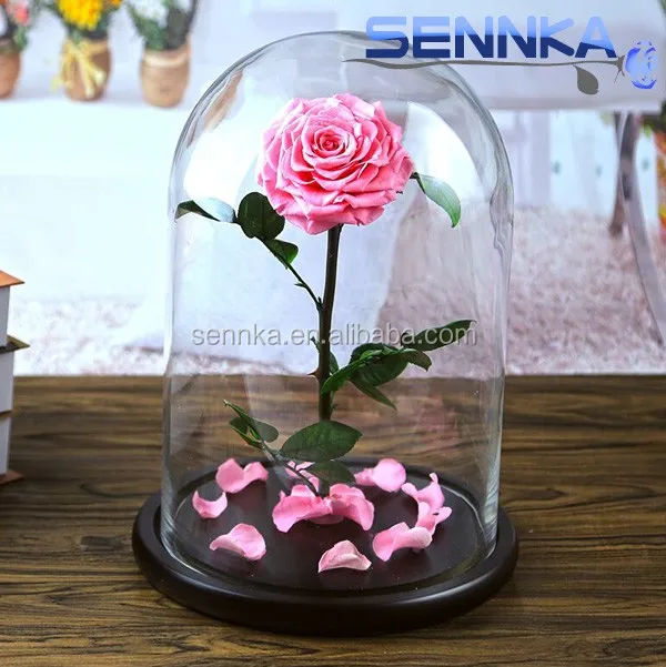 Wedding Occasion And Colorful Color High Quality Rose Preserved Fresh Flower In Glass Jar Buy Wedding Occasion High Quality Rose Preserved Fresh Rose In Glass Jar Product On Alibaba Com