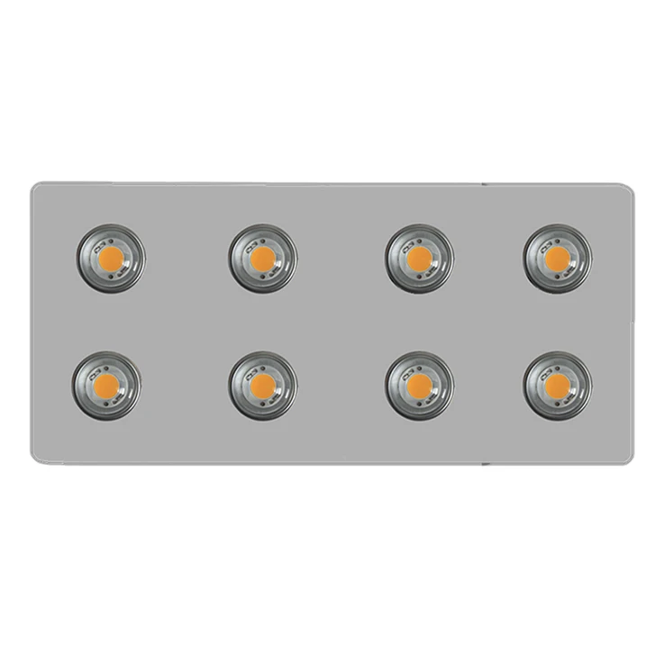 2019 Newest Meanwell Driver 100W 200W 400W 600W 800W CXB3590  COB LED Grow Light for indoor plants