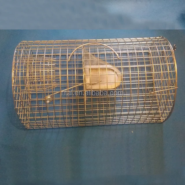 https://sc01.alicdn.com/kf/HTB1LhFLondYBeNkSmLyq6xfnVXay/Monarch-Rat-Trap-Live-Multi-Catch-Cage.jpg