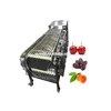 fresh dates olive sorting machine | dates processing line in Saudi Arabia