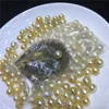 Wholesale AA Nanyang Single Golden Pearl In Saltwater Oyster Gold Akoya Sea Pearl DIY Gift Pearl Party