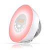 Preciser Wholesale LED Lamp Touch Sensor Switch Wake Up Light Alarm Clock