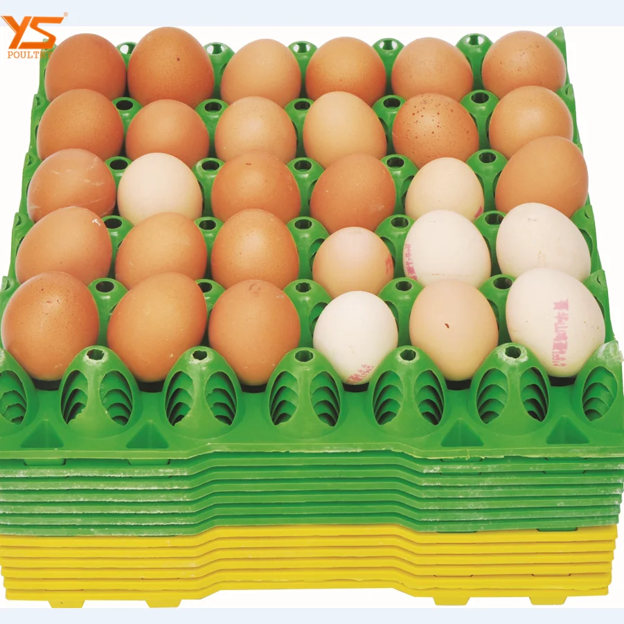 Яйцо 200 рублей. Лоток для яиц. Контейнеры для яиц картонные. Куриные яйца в лотке. Большой лоток для яиц.