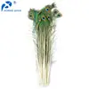 Alibaba Horng Shya Excellent Quality Exporter Cheap Peacock Feather