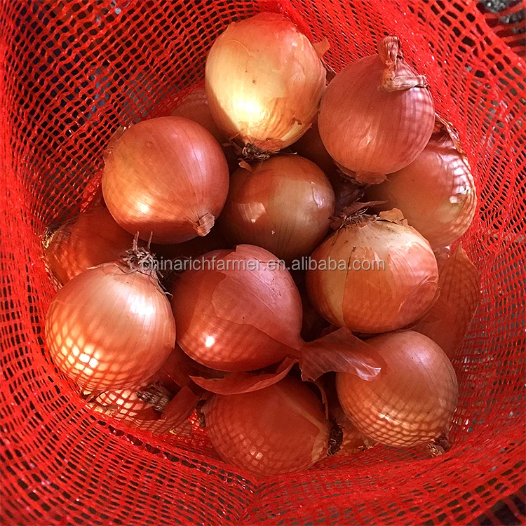 yellow onion (4)