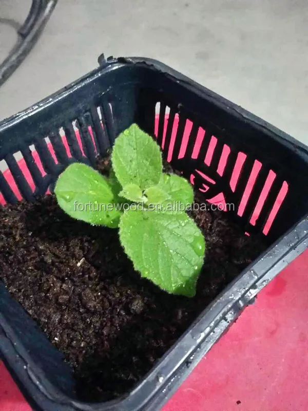 mmexport1435280872422-1