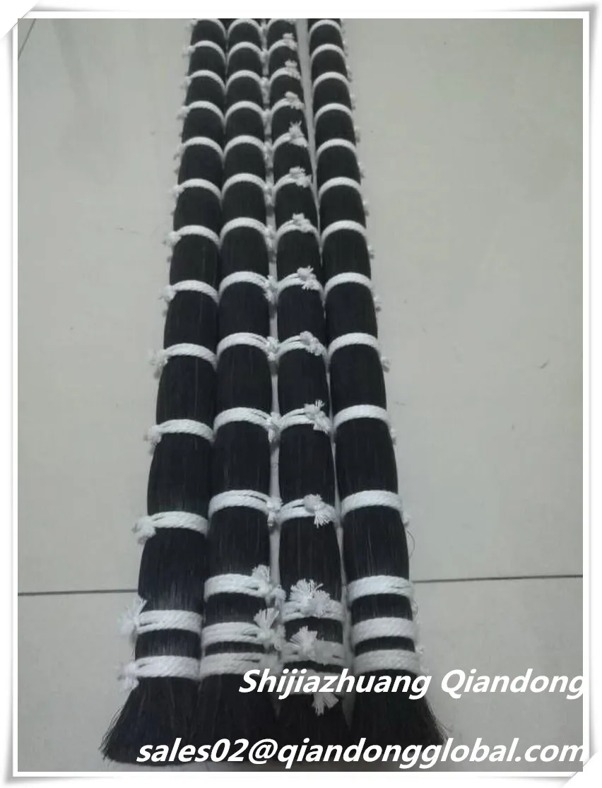 black horse tail hair