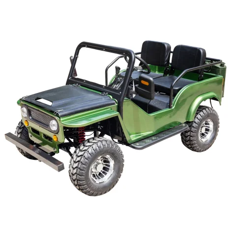 
off road buggy 