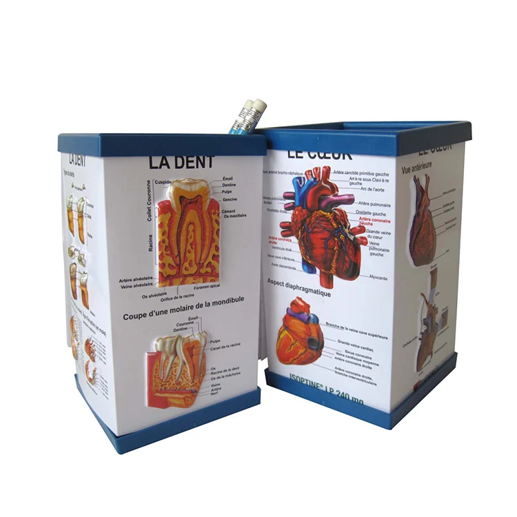 emmbossed pen holder (12)