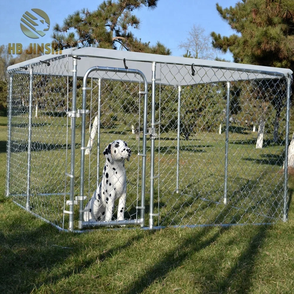10 by 10 chain link dog kennel