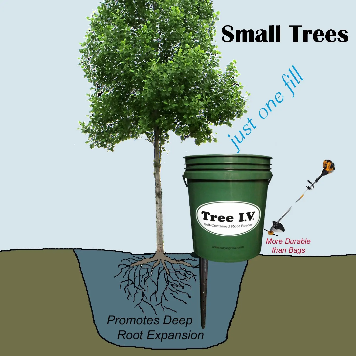 Cheap Tree Root System Find Tree Root System Deals On Line At