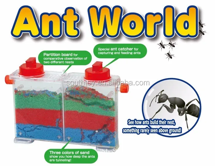 An Ant Catcher.