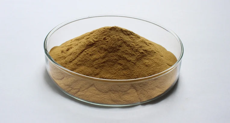 Dong Quai Angelica Root Extract Powder Buy Dong Quai Angelica Root 