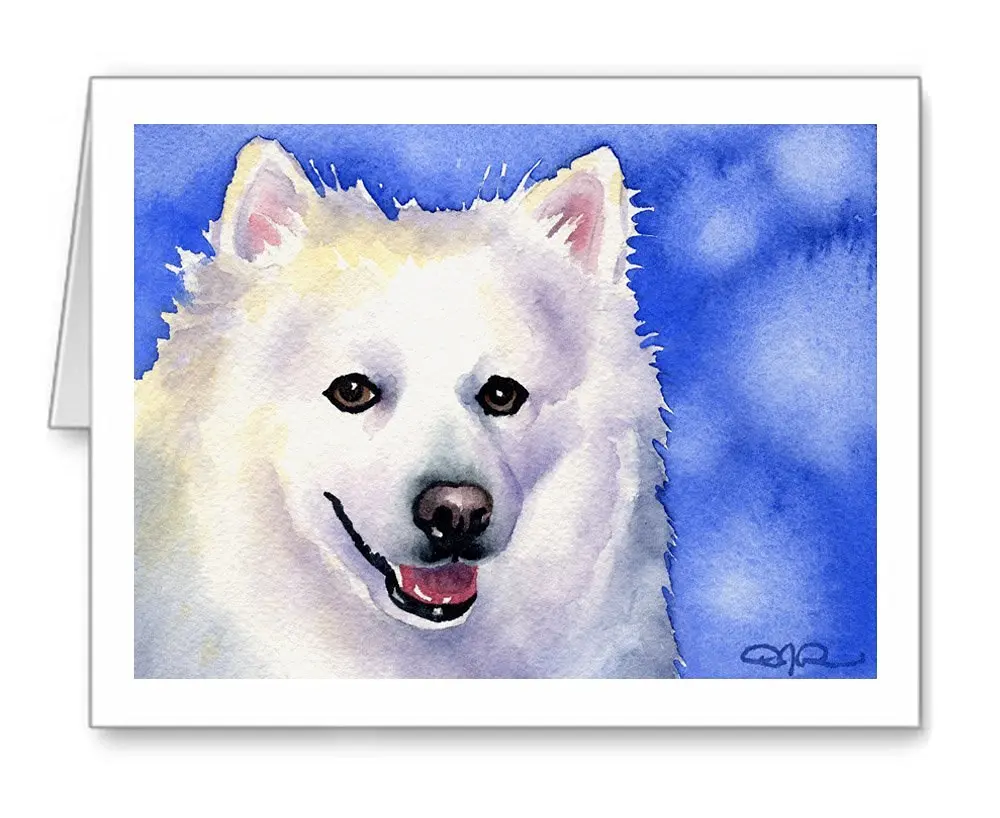American Eskimo - Set of 10 Note Cards With Envelopes