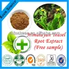 Organic Plant Extract Himalayan Teasel Root Extract/Radix Dipsacl Extract