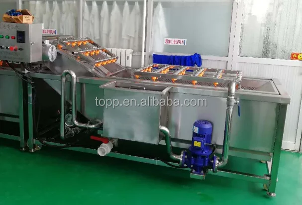 Vegetable fruits wash and dry processing machines supply vegetable washing line