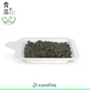 Tea Garden Supply High Quality universal Chinese Guizhou green tea